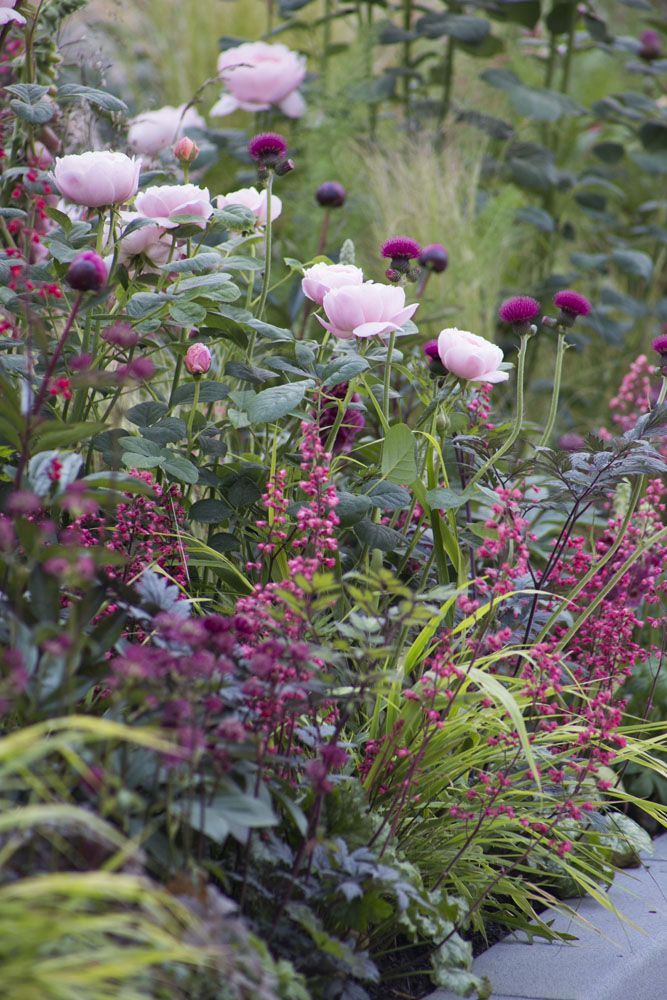 blommor på stugan