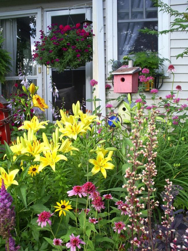 blommor på stugan