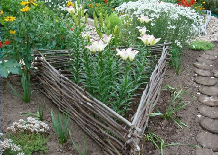 blommor på stugan