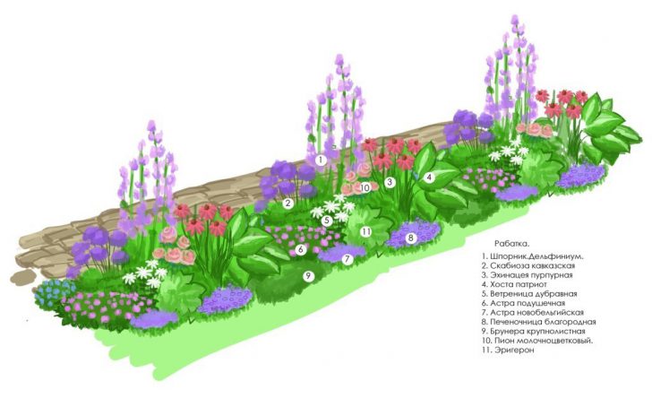 bloementuin in het land