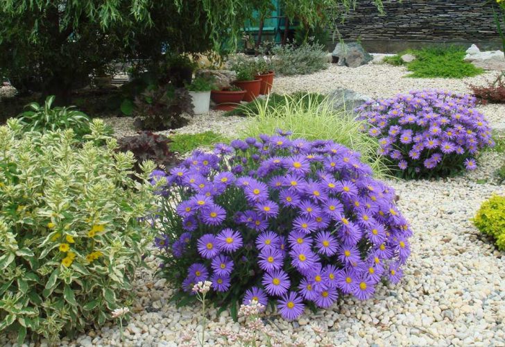 jardim da frente com as próprias mãos