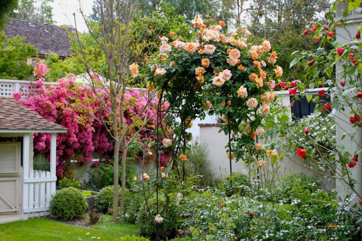 jardim da frente com as próprias mãos