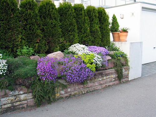 jardim da frente com as próprias mãos