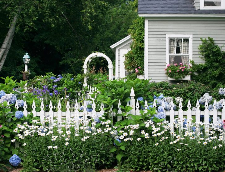 jardim da frente com as próprias mãos