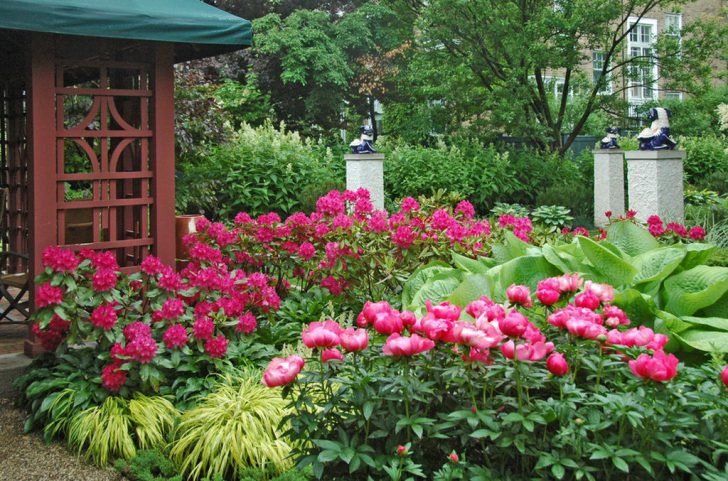 jardim da frente com as próprias mãos