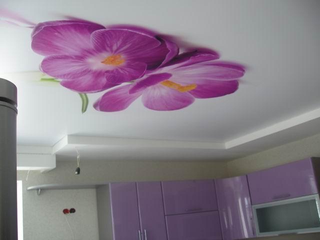 stretch ceilings in the kitchen