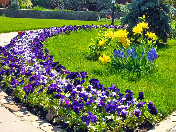 stun blommor för sängar