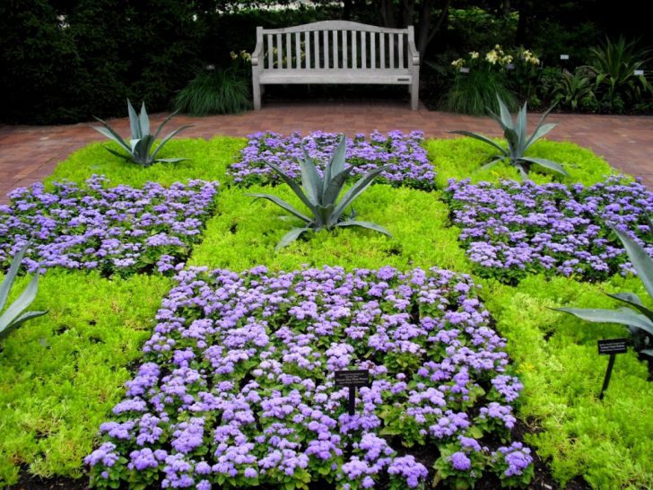 stun blommor för sängar