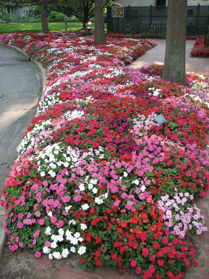 stun blommor för sängar