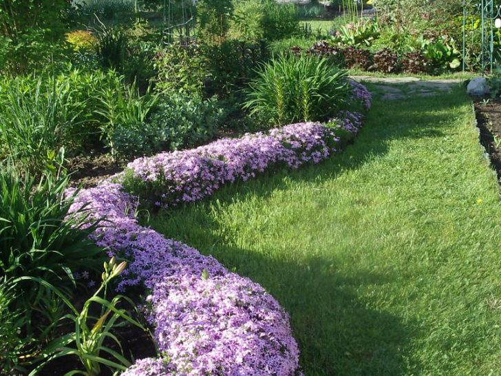 stun blommor för sängar