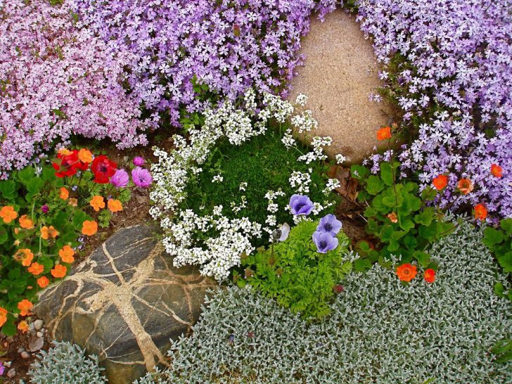 stun blommor för sängar