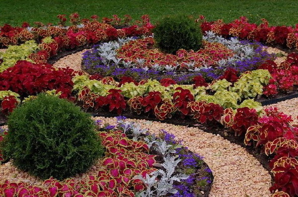 stun blommor för sängar