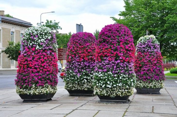 stun blommor för sängar