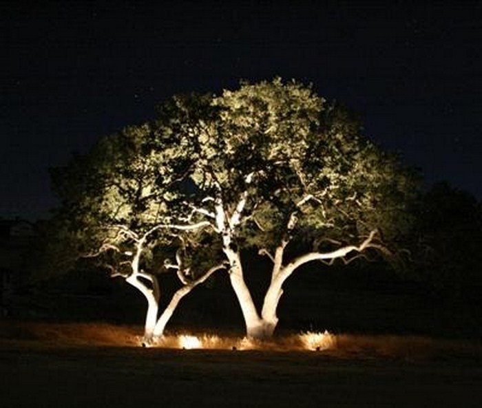 illuminazione del paesaggio