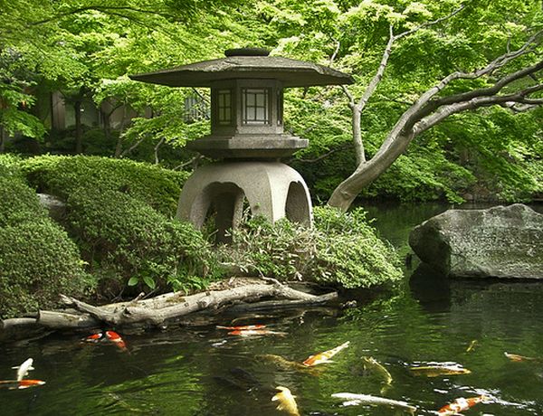 Använd-of-färgad-karp-och-guld-fisk-in-the-koi-dammar-along-with-stone-lantern