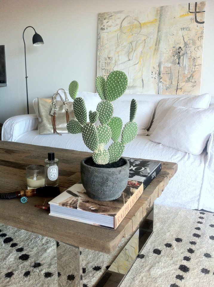 home cactus